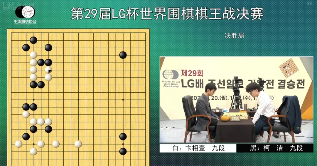 世界冠军罗洗河评析提子后放回棋盒盖的初衷及